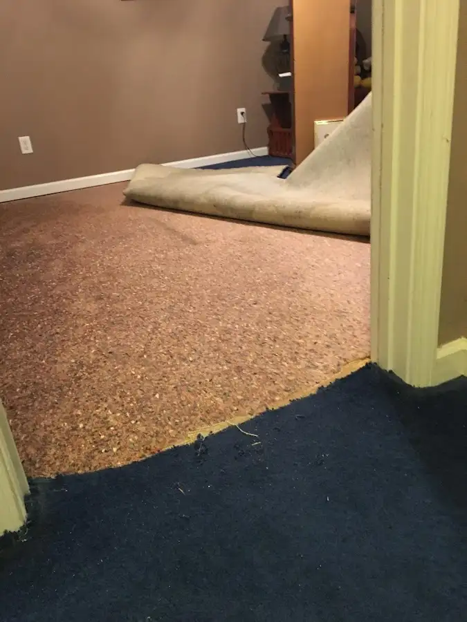 Carpet pad removal revealing water damage during Drying & Dehumidification in Shady Hollow
