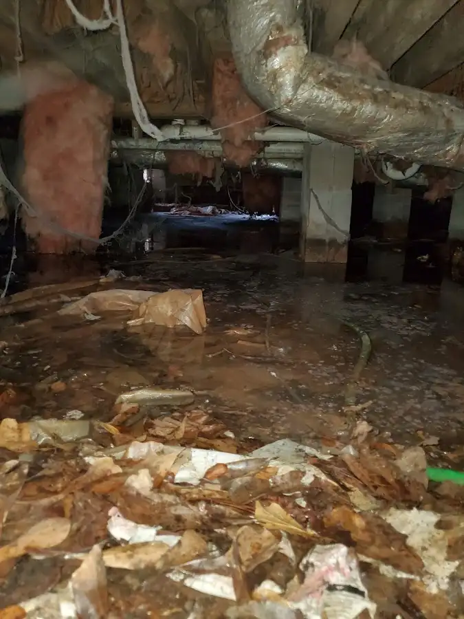 Crawl space flood assessment for Leak Detection & Repair in Shady Hollow