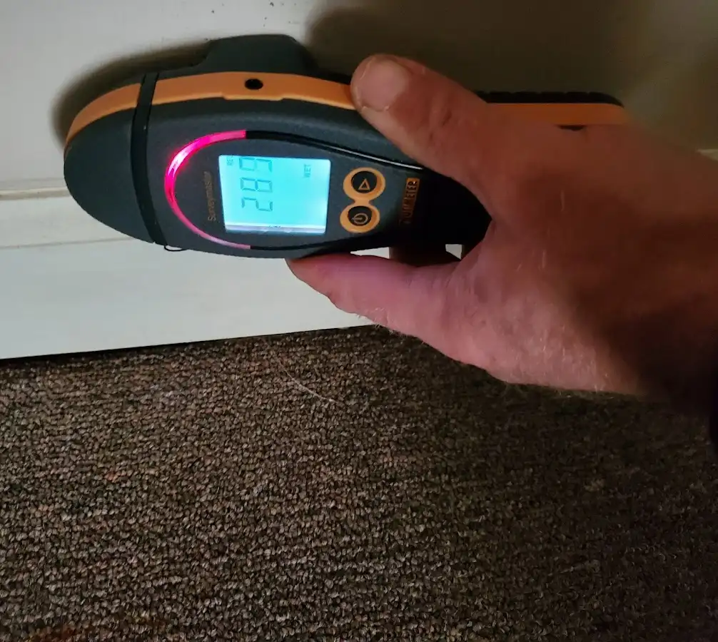 Moisture detection at baseboard during Storm Damage Restoration in Shady Hollow